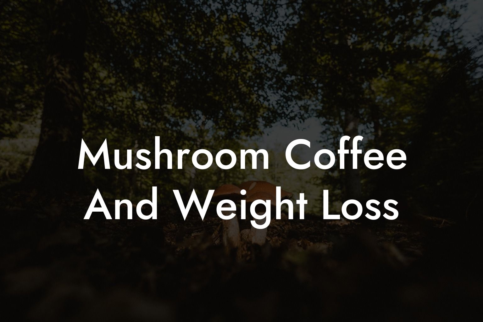 Mushroom Coffee And Weight Loss