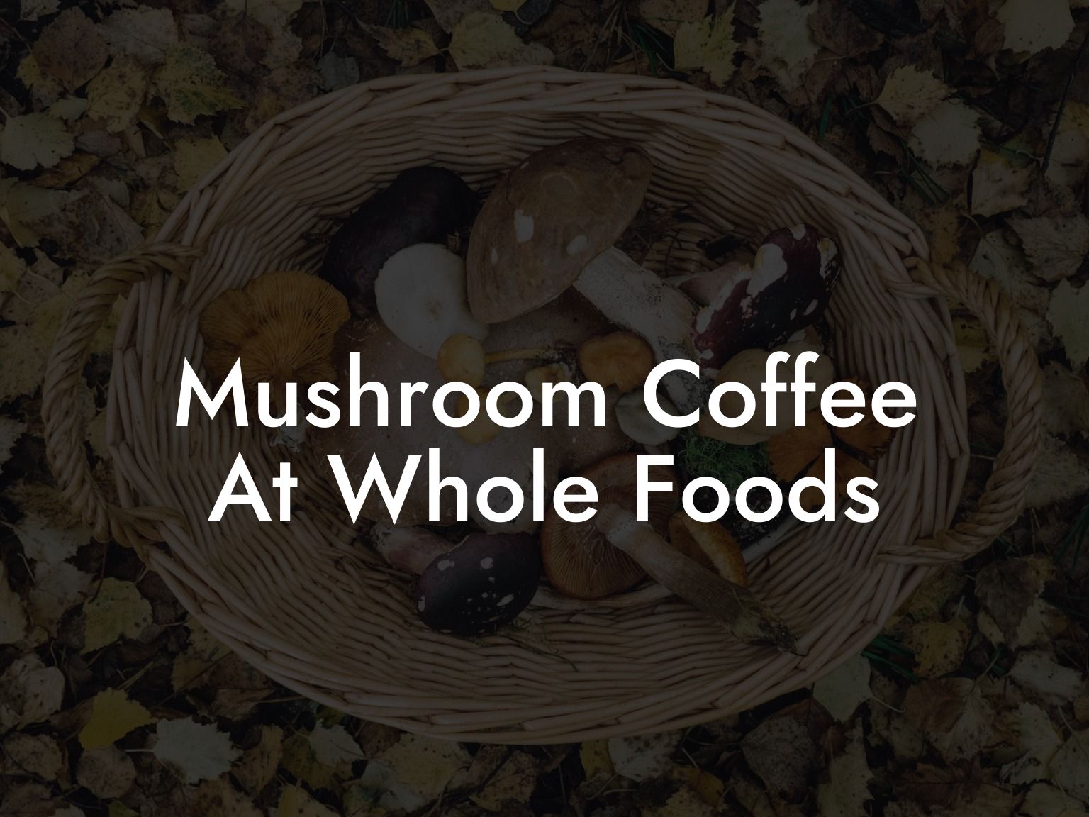 Mushroom Coffee At Whole Foods