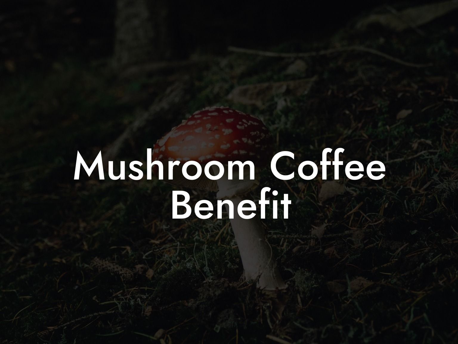 Mushroom Coffee Benefit