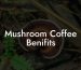 Mushroom Coffee Benifits