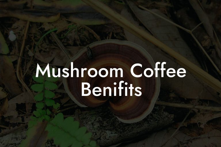 Mushroom Coffee Benifits - Mr Mushroom