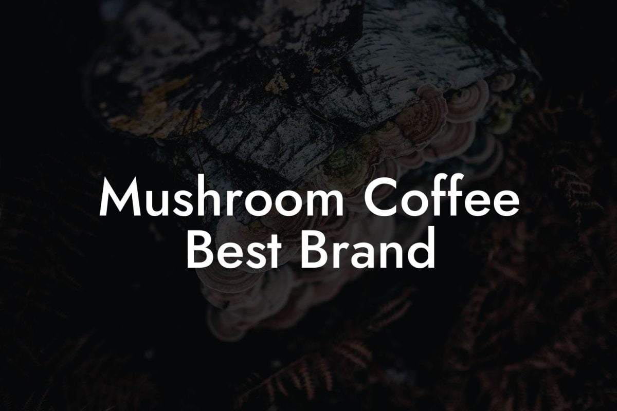 Mushroom Coffee Best Brand