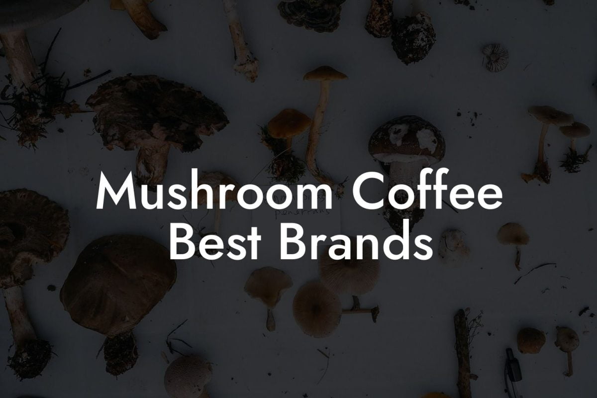 Mushroom Coffee Best Brands