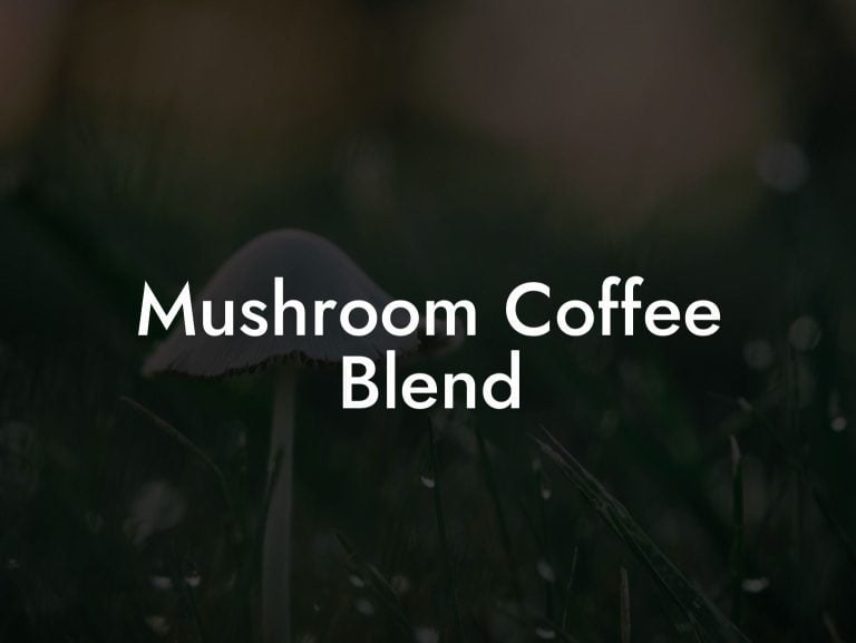 Mushroom Coffee Blend Mr Mushroom