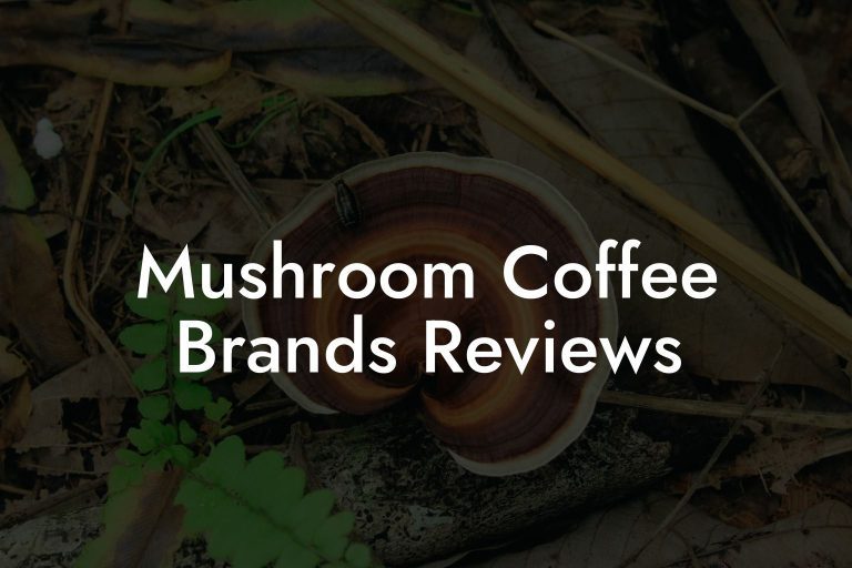 Mushroom Coffee Brands Reviews - Mr Mushroom