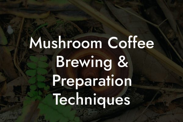 Mushroom Coffee Brewing & Preparation Techniques