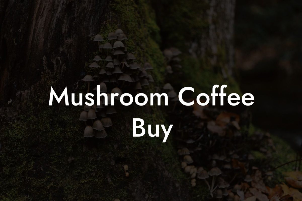 Mushroom Coffee Buy