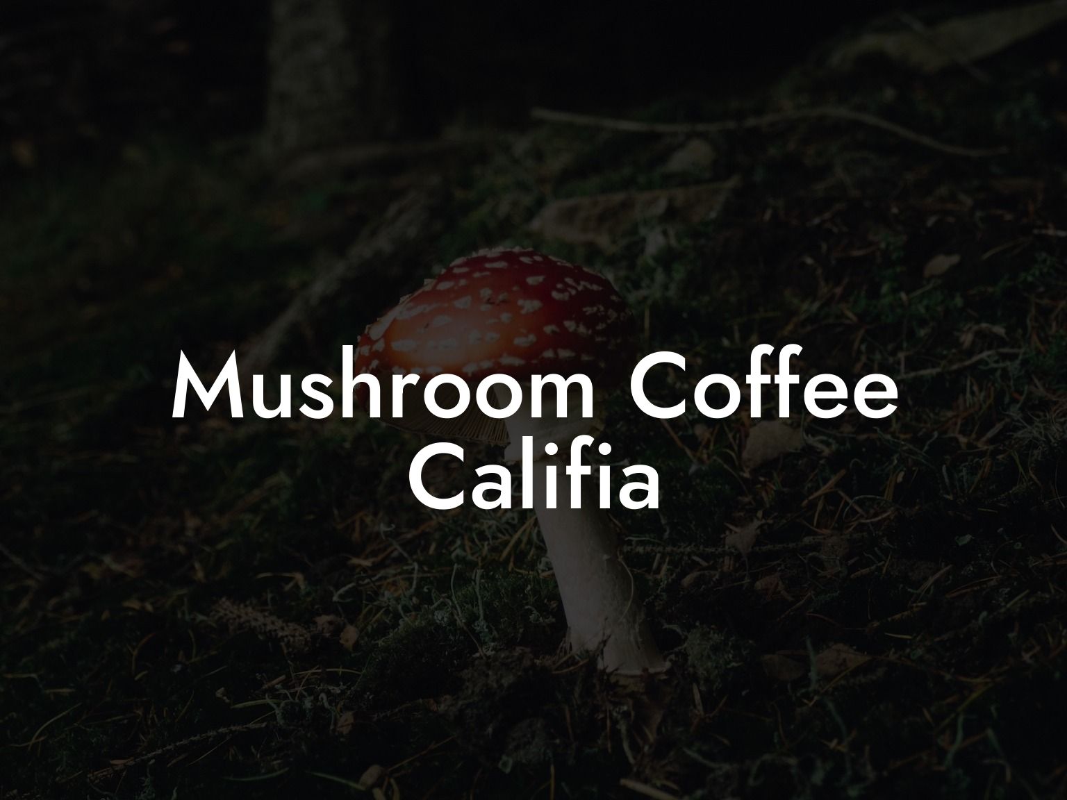 Mushroom Coffee Califia