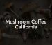 Mushroom Coffee California