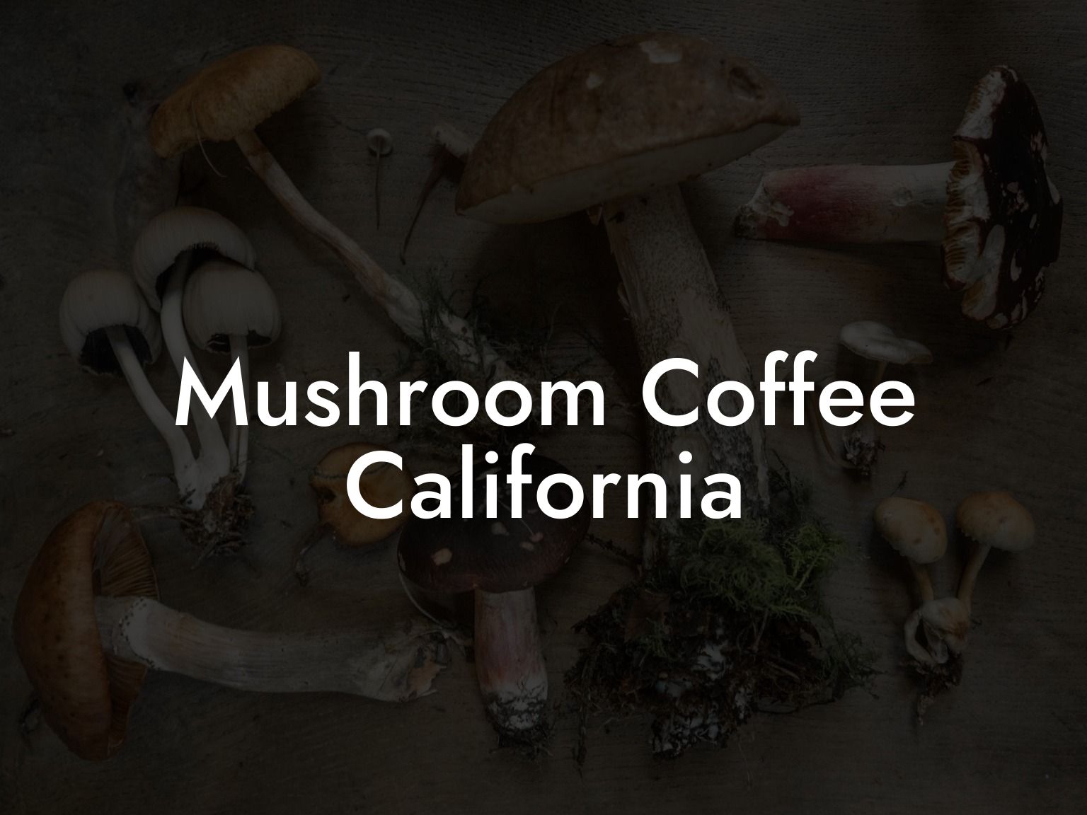 Mushroom Coffee California