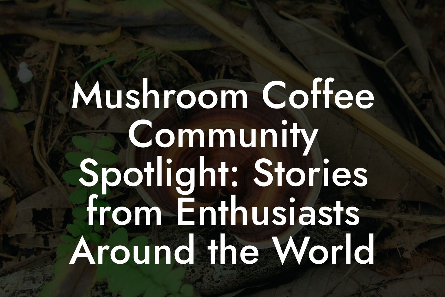 Mushroom Coffee Community Spotlight: Stories from Enthusiasts Around the World