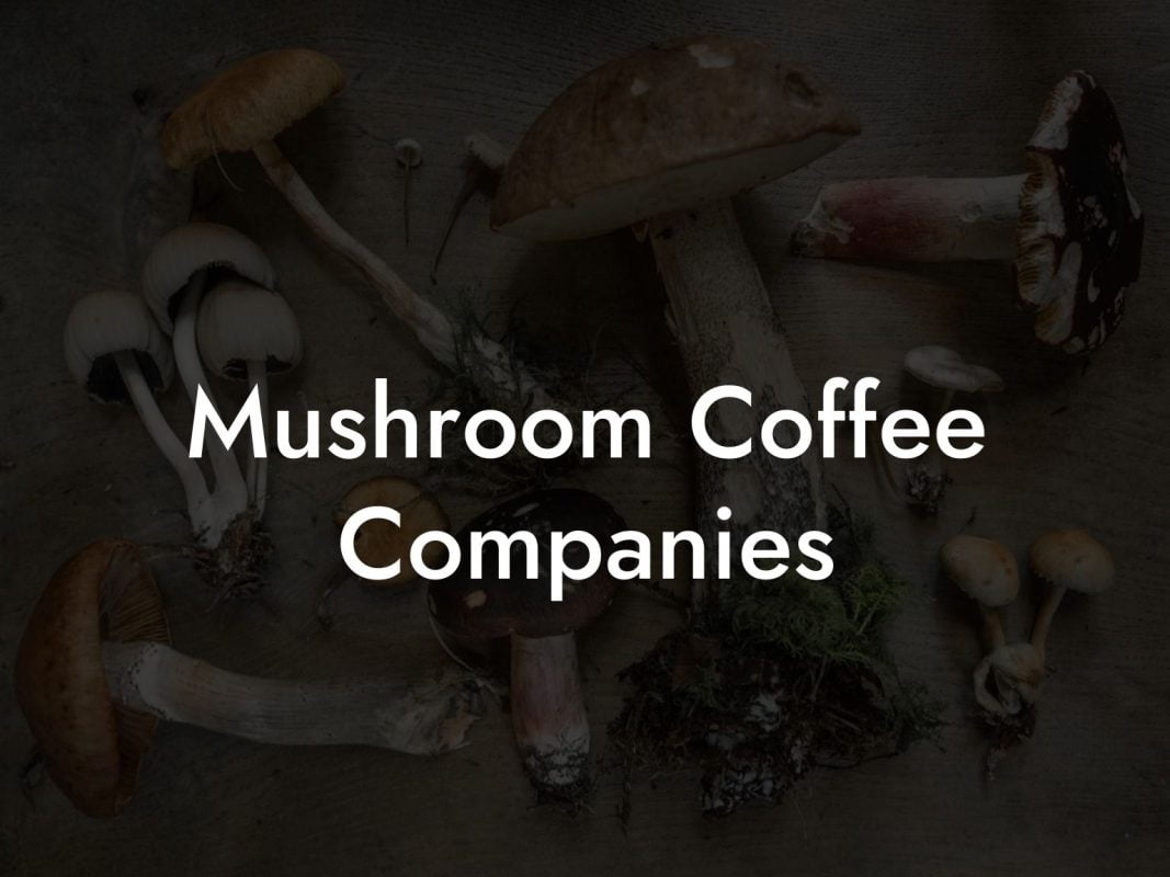 Mushroom Coffee Companies