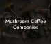 Mushroom Coffee Companies