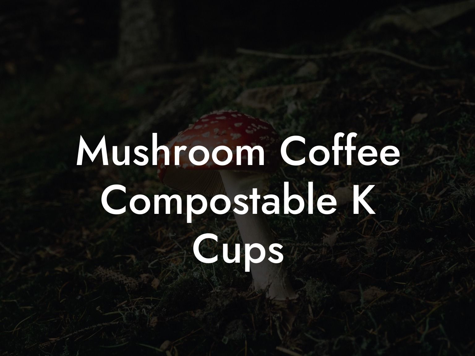 Mushroom Coffee Compostable K Cups
