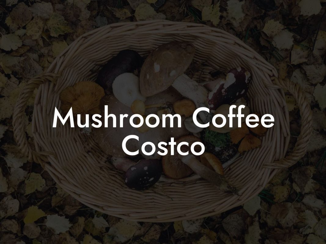 Mushroom Coffee Costco