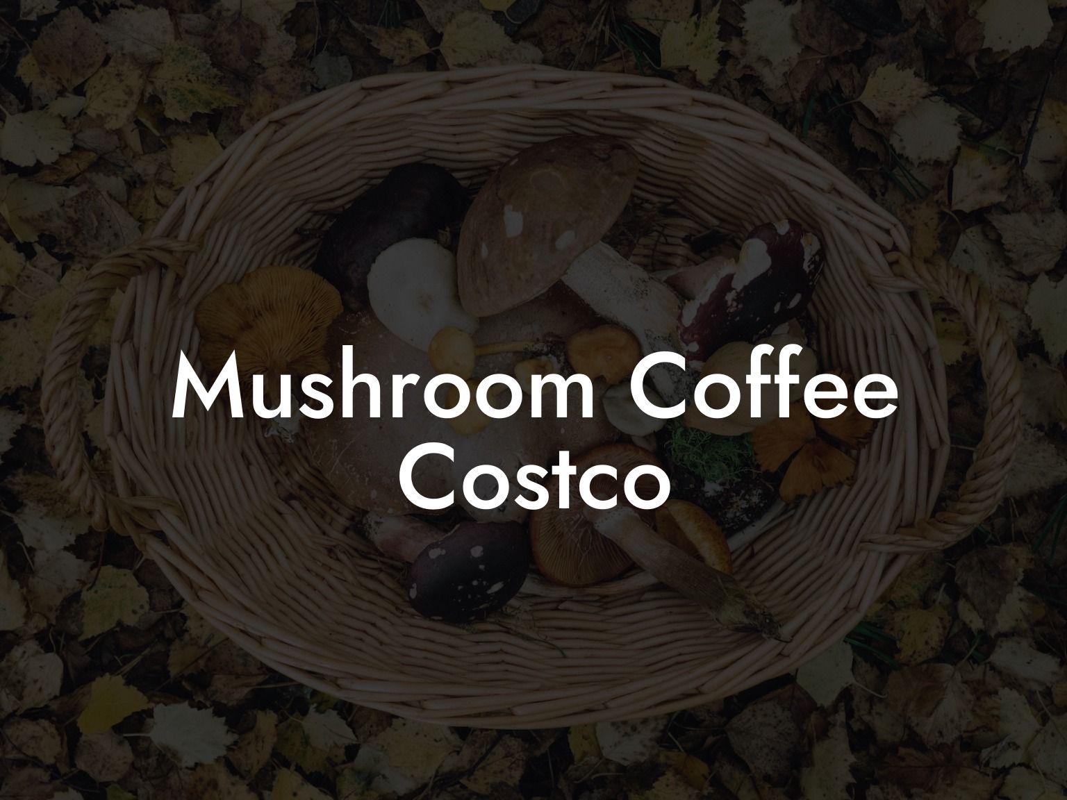 Mushroom Coffee Costco