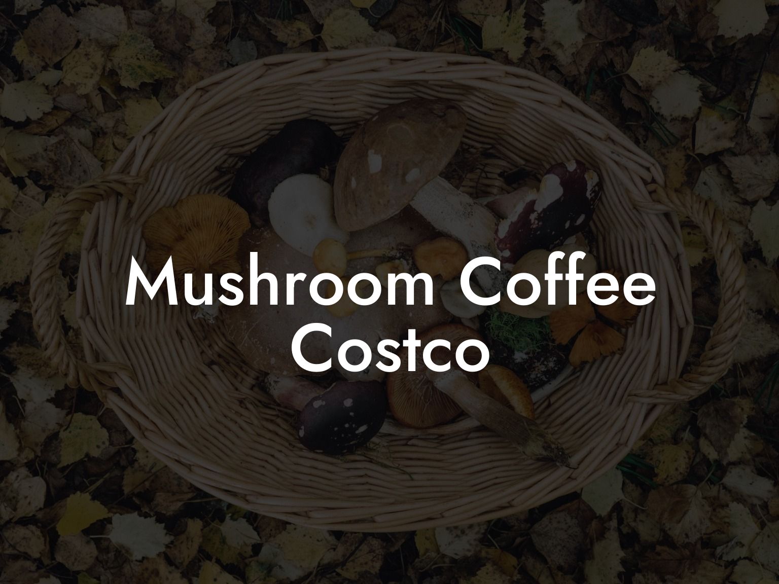 Exploring The World Of Costco Mushroom Coffee: A Unique Blend For ...