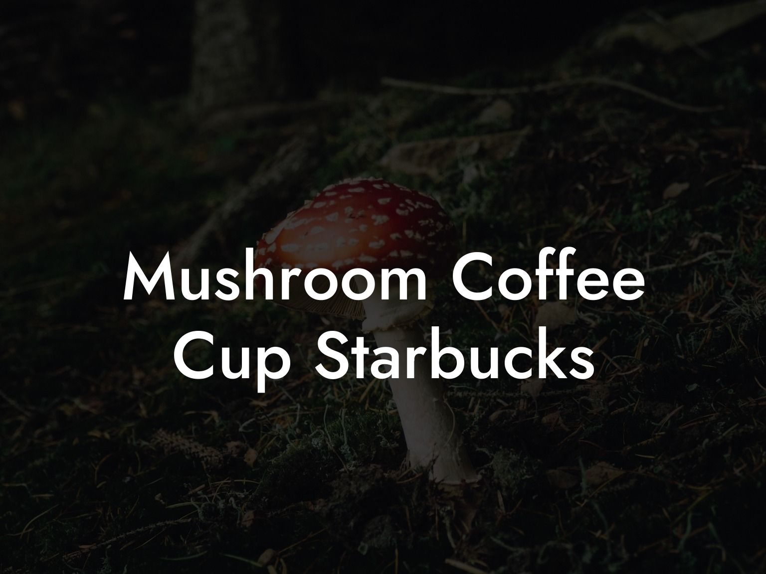 Mushroom Coffee Cup Starbucks