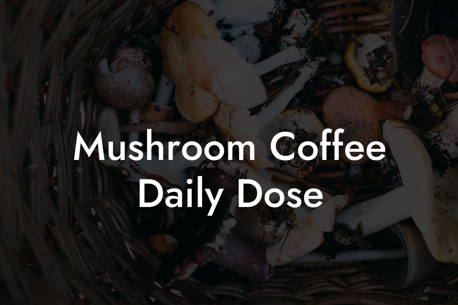 Mushroom Coffee Daily Dose