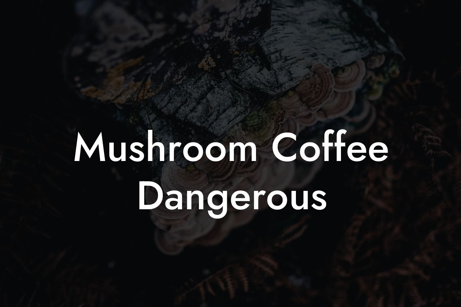 Mushroom Coffee Dangerous