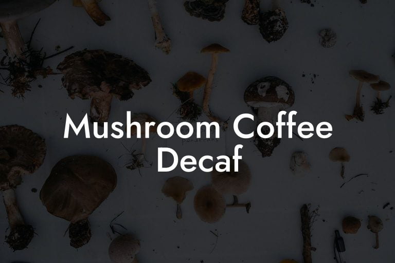 Mushroom Coffee Decaf Mr Mushroom