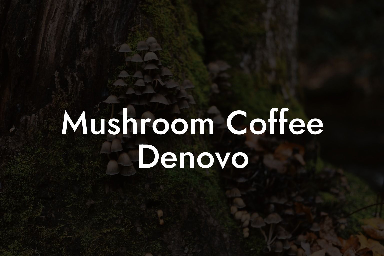 Mushroom Coffee Denovo