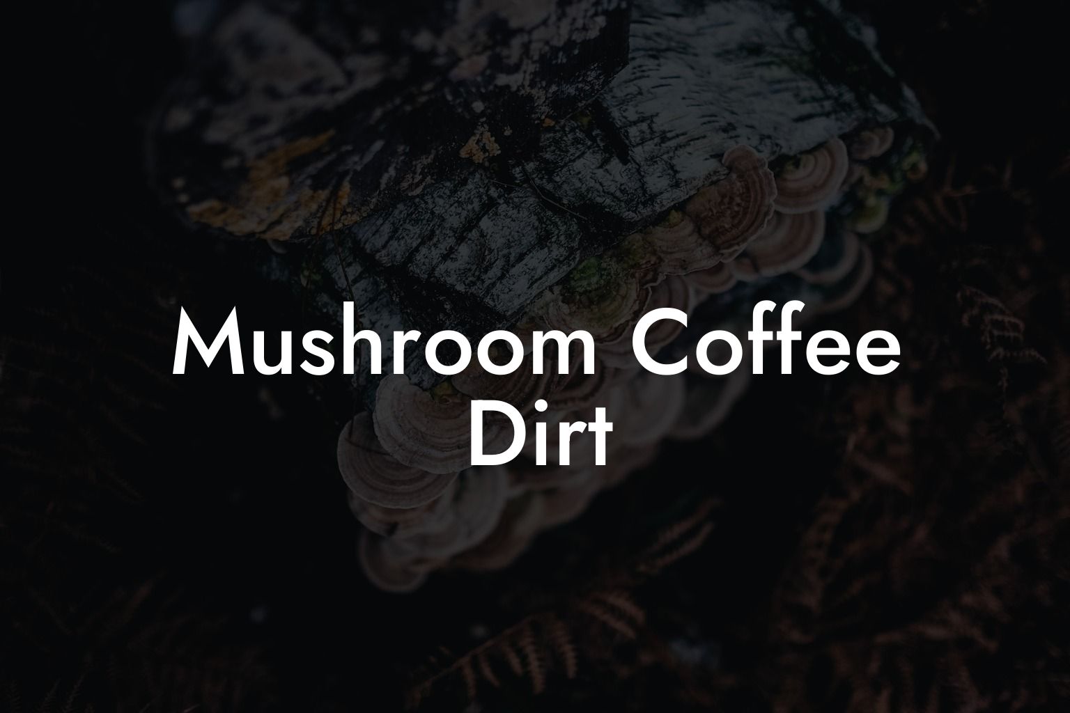 Mushroom Coffee Dirt