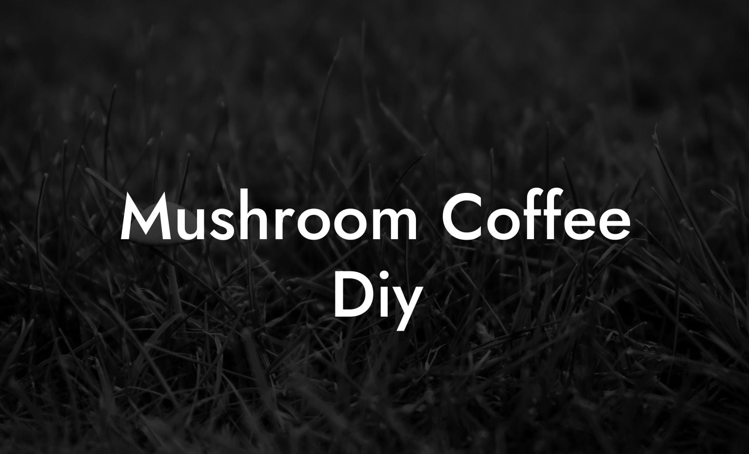 Mushroom Coffee Diy