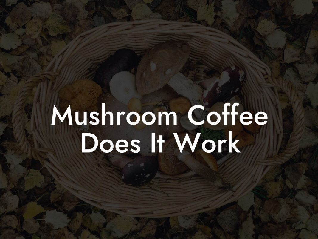 Mushroom Coffee Does It Work