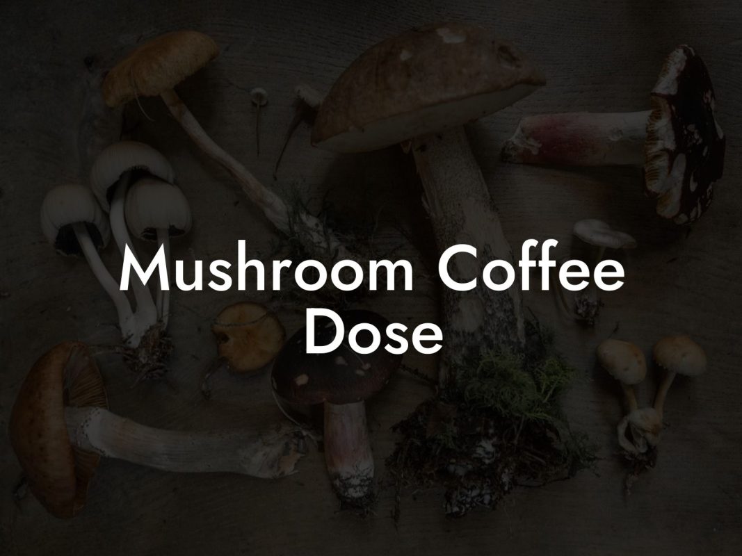 Mushroom Coffee Dose