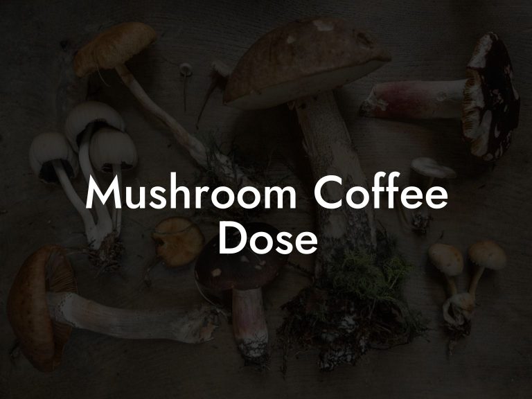 Mushroom Coffee Dose Mr Mushroom