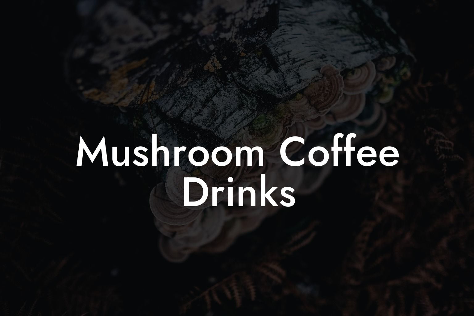 Mushroom Coffee Drinks