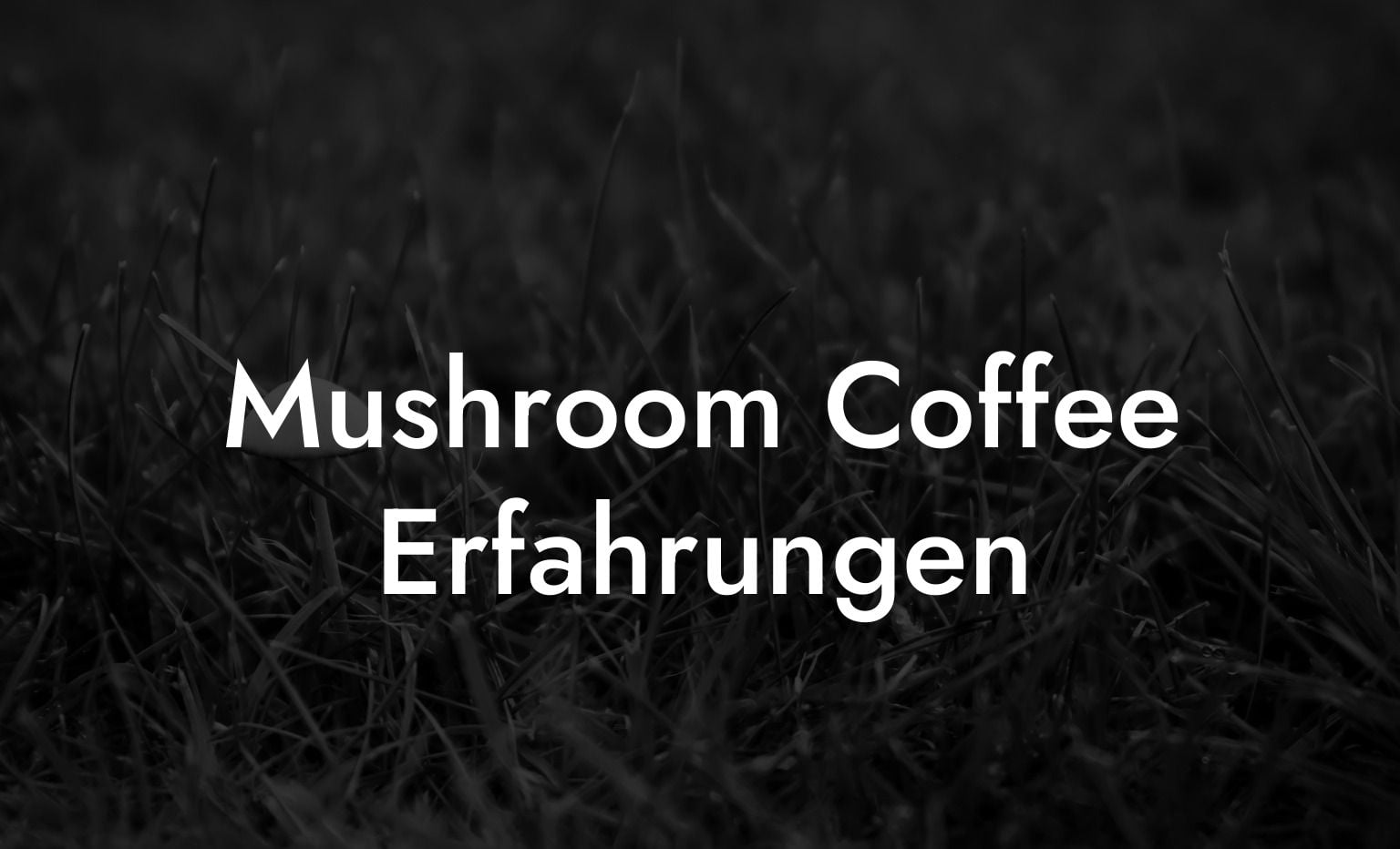Mushroom Coffee Erfahrungen