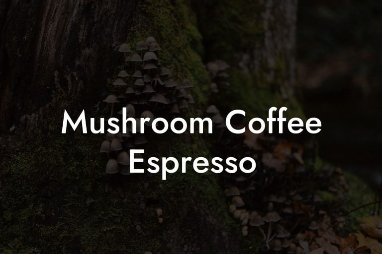Mushroom Coffee Espresso Mr Mushroom