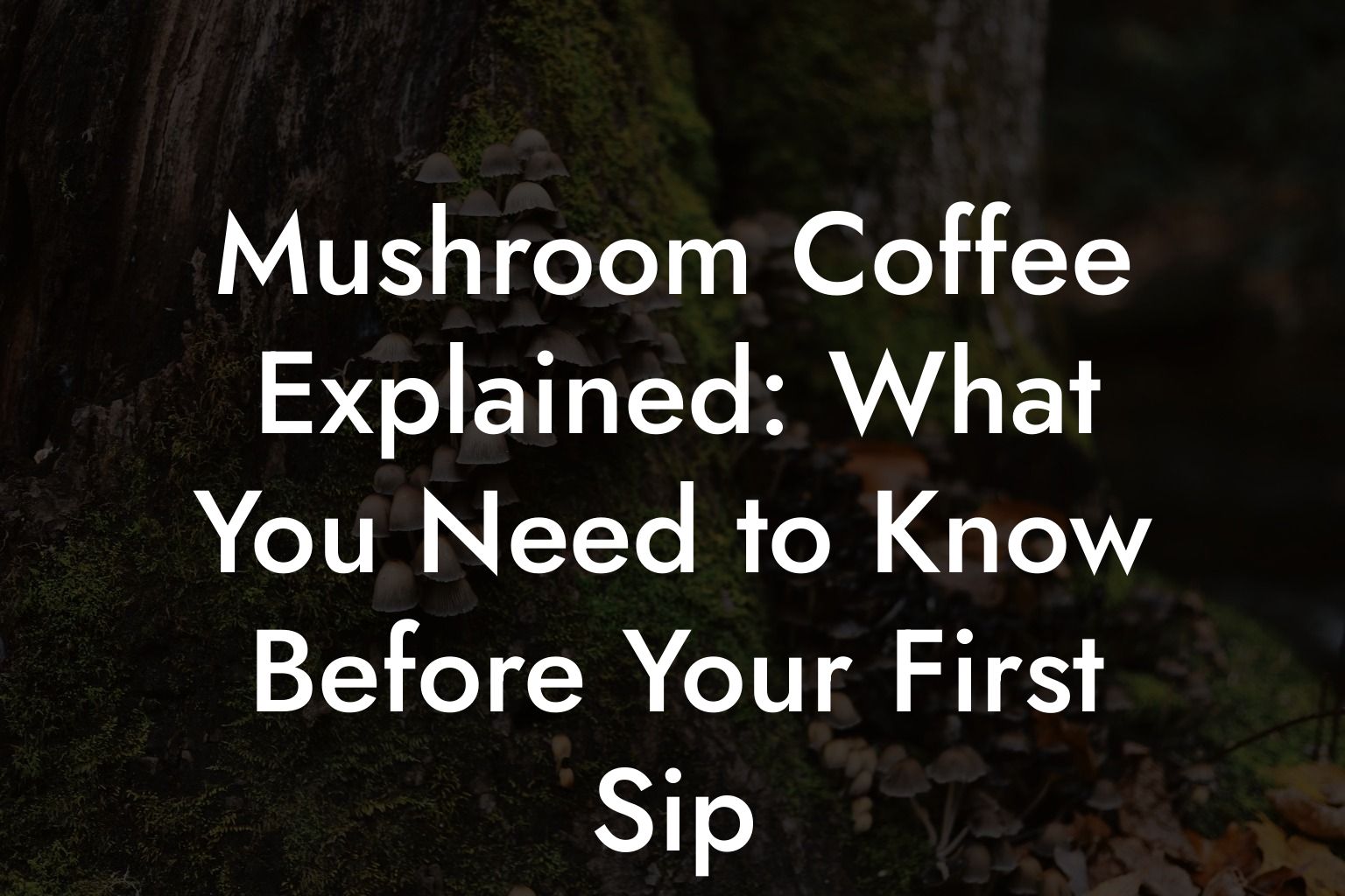 Mushroom Coffee Explained: What You Need to Know Before Your First Sip