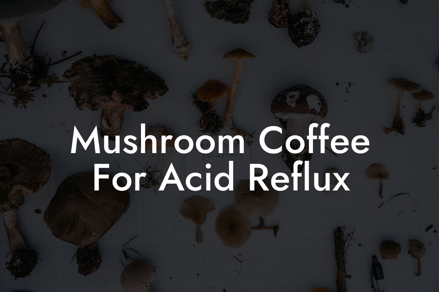 Mushroom Coffee For Acid Reflux