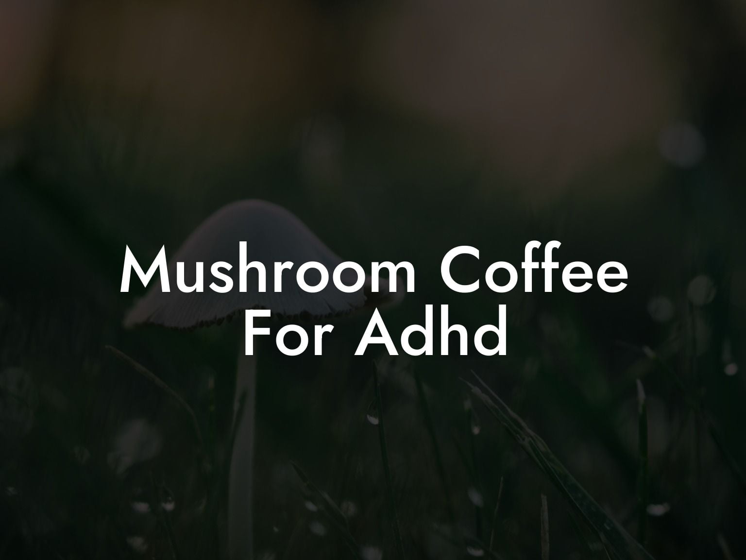 Mushroom Coffee For Adhd