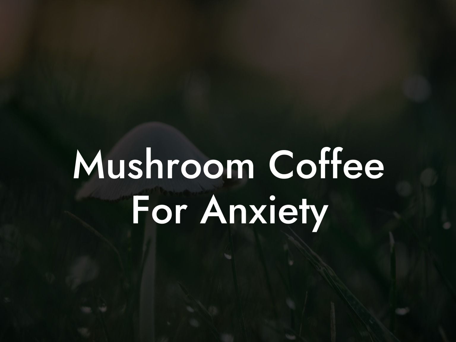 Mushroom Coffee For Anxiety
