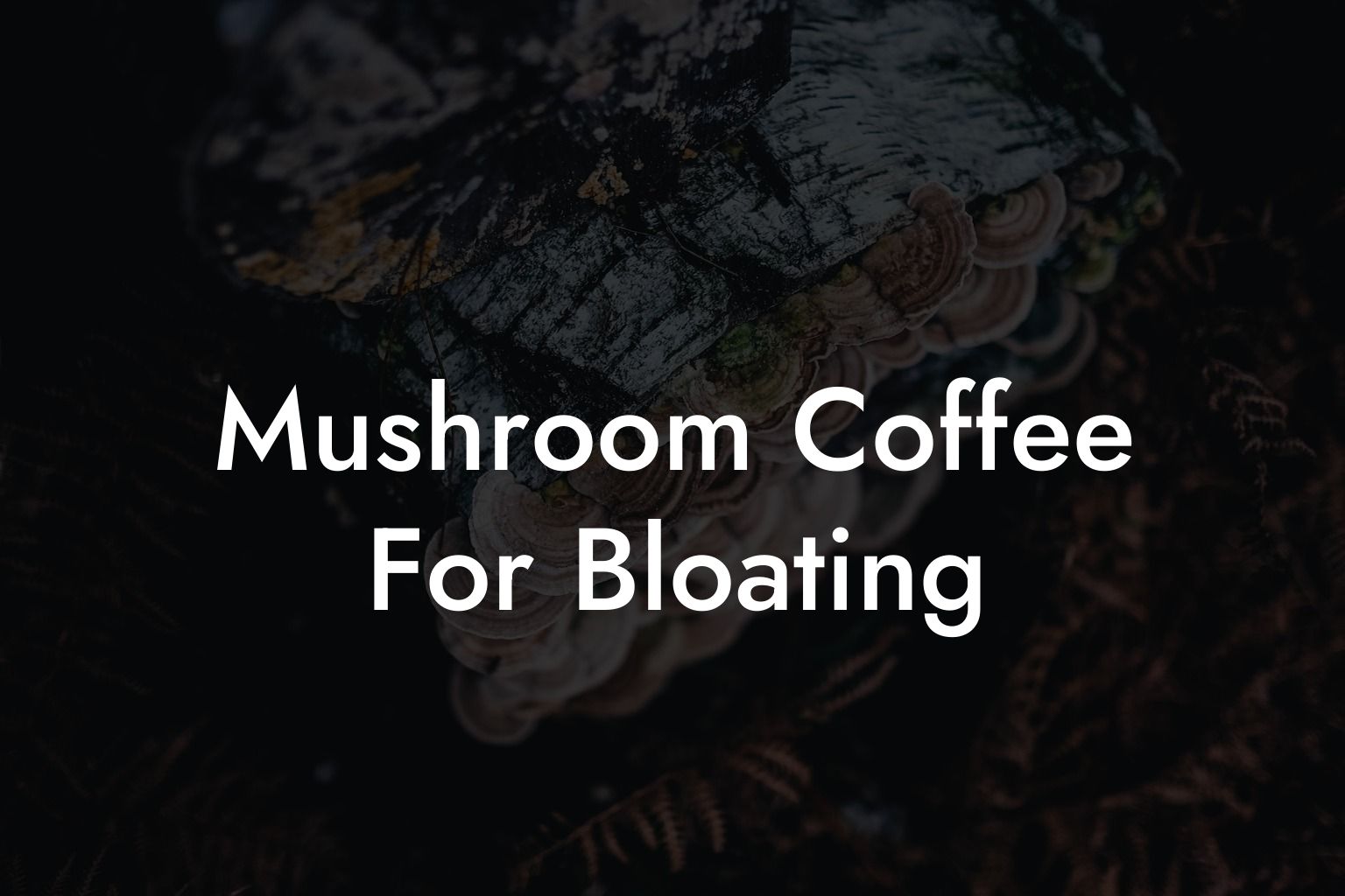 Mushroom Coffee For Bloating