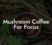 Mushroom Coffee For Focus