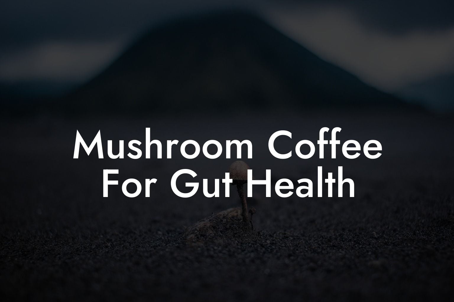 Mushroom Coffee For Gut Health