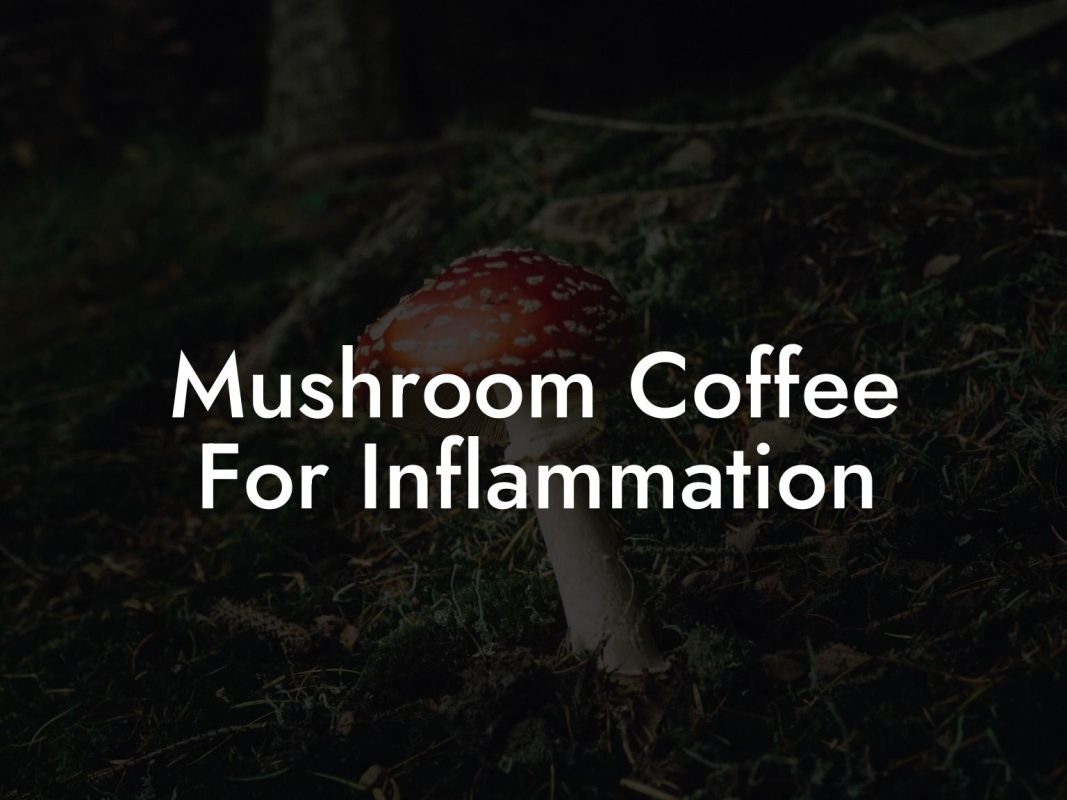 Mushroom Coffee For Inflammation