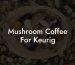 Mushroom Coffee For Keurig