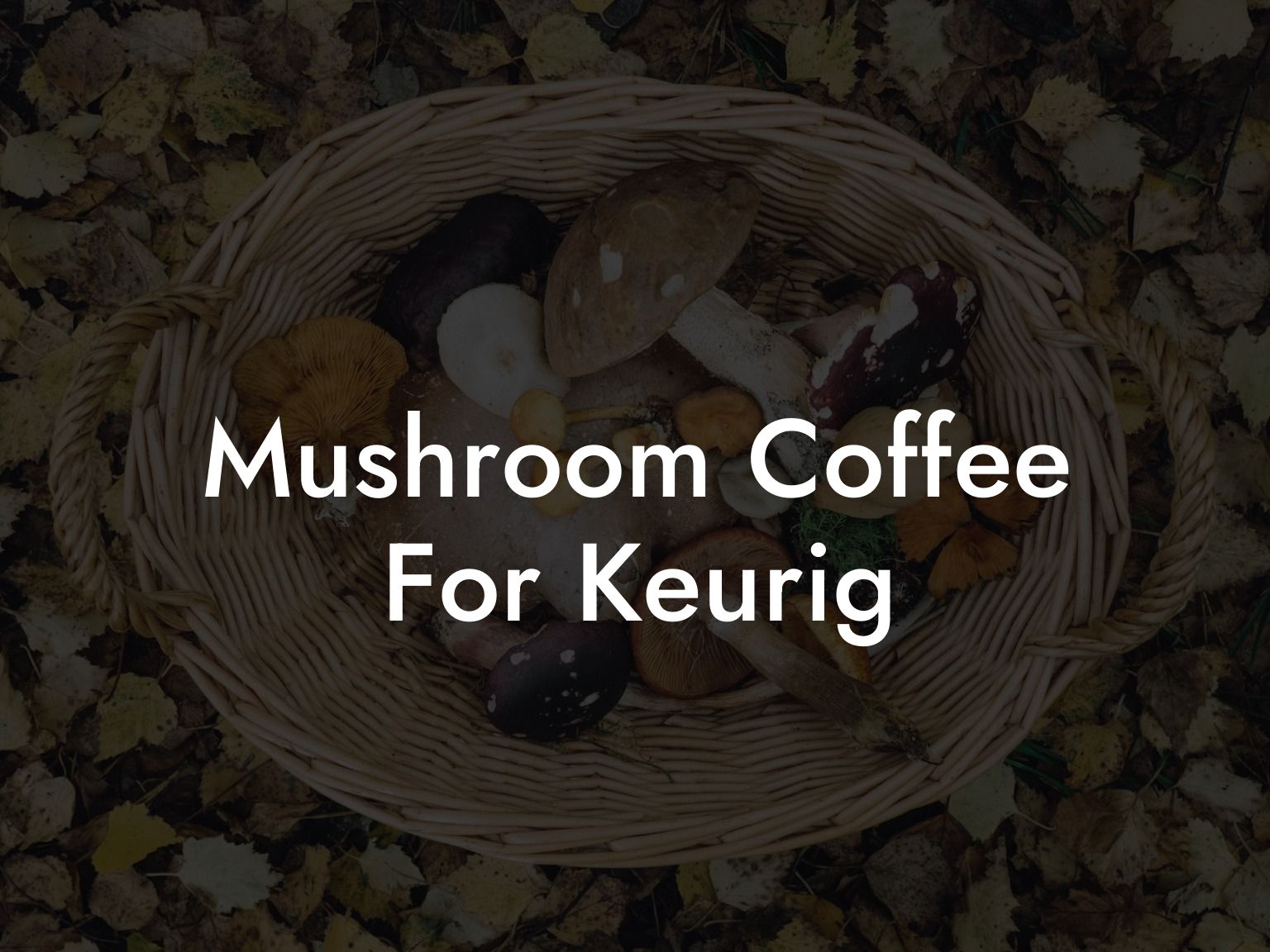 Mushroom Coffee For Keurig