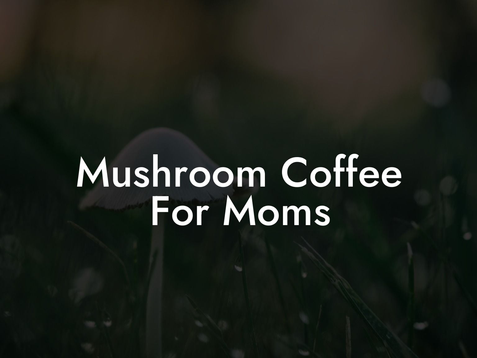 Mushroom Coffee For Moms