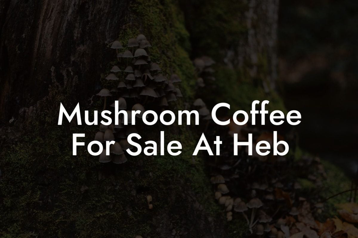 Mushroom Coffee For Sale At Heb