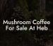 Mushroom Coffee For Sale At Heb