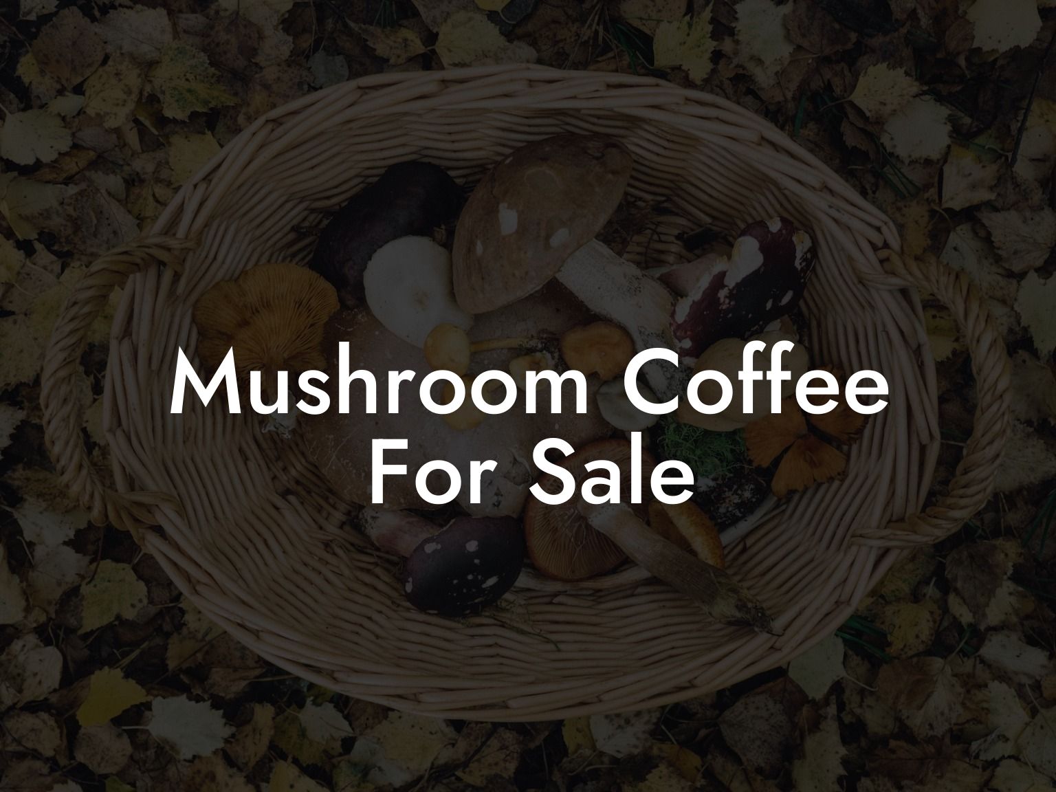 Mushroom Coffee For Sale