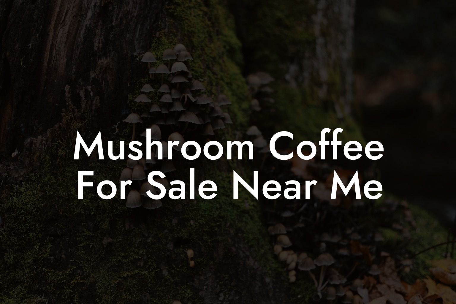Mushroom Coffee For Sale Near Me