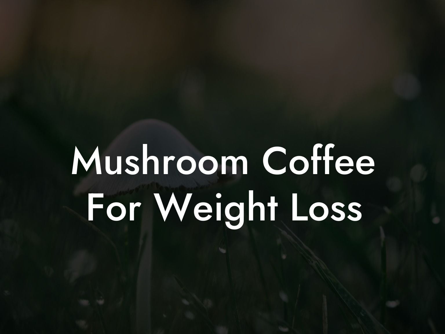 Mushroom Coffee For Weight Loss